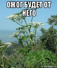 ожог будет от него 