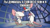 ты думаешь о том же о чем и я пинки? 