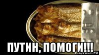  путин, помоги!!!