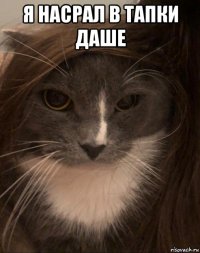 я насрал в тапки даше 