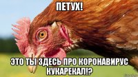 петух! это ты здесь про коронавирус кукарекал!?