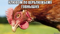 клювом по верблюжьему говнышку 