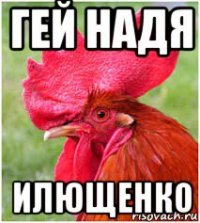 гей надя илющенко