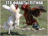 это фанаты путина 