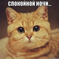 спокойной ночи... 