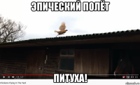 эпический полёт питуха!