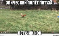 эпический полёт питуха! летучий кок