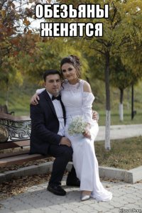 обезьяны женятся 