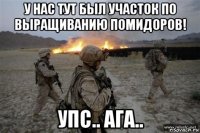 у нас тут был участок по выращиванию помидоров! упс.. ага..
