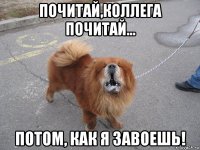 почитай,коллега почитай... потом, как я завоешь!
