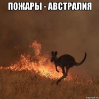 пожары - австралия 