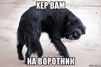 хер вам на воротник