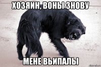 хозяин, воны знову мене вьипалы