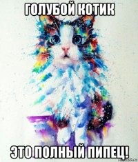 голубой котик это полный пипец!
