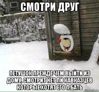 смотри друг петушок прежде чем выйти из дому, смотрит нет ли кавказцев которые хотят его п.бать