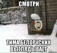 смотри тима белоруских выглядывает
