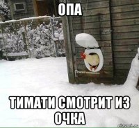 опа тимати смотрит из очка
