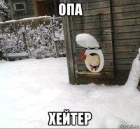 опа хейтер