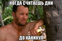 когда считаешь дни до каникул