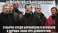 демократия эта когда волки ебут баранов я вырос среди бараноёбов и ослоёбов я хорошо знаю про демократию.