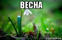 весна 