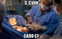 э, суки сало е?