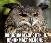  копилка мудрости не принимает мелочь.