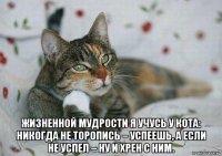  жизненной мудрости я учусь у кота: никогда не торопись – успеешь, а если не успел – ну и хрен с ним.