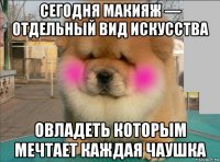сегодня макияж — отдельный вид искусства овладеть которым мечтает каждая чаушка