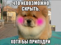 что невозможно скрыть, хотя бы припудри