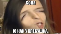 соня iq как у хлебушка.