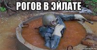 рогов в эйлате 