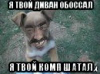 я твой диван обоссал я твой комп шатал