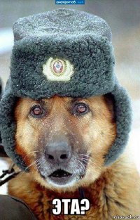  эта?