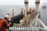  коронавирусовод