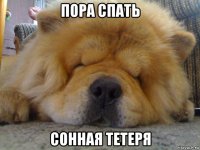 пора спать сонная тетеря