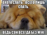охота спать - всего лишь спать. ведь сон всегда без мук.