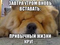 завтра утром вновь вставать: привычный жизни круг...