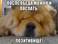 после обеда можно и поспать. позитивище!