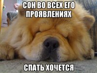 сон во всех его проявлениях спать хочется