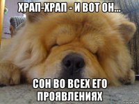 храп-храп - и вот он... сон во всех его проявлениях