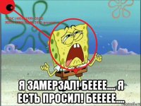  я замерзал! бееее.... я есть просил! беееее....