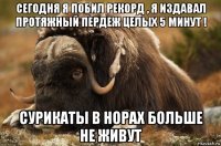 сегодня я побил рекорд , я издавал протяжный пердеж целых 5 минут ! сурикаты в норах больше не живут