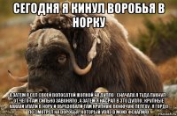 сегодня я кинул воробья в норку а затем я сел своей волосатой жопкой на дупло . сначала я туда пукнул , от чего там сильно завоняло , а затем я насрал в это дупло , крупные какахи упали в нору и образовали там крупную вонючую лепёху , я гордо по смотрел на воробья , который увяз в моих фекалиях
