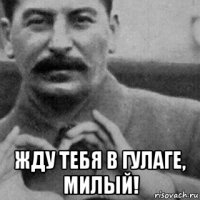  жду тебя в гулаге, милый!