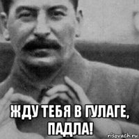  жду тебя в гулаге, падла!