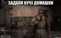 задали кучу домашки 