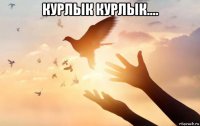 курлык курлык.... 
