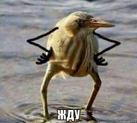  жду