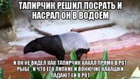 тапирчик решил посрать и насрал он в водоём и он не видел как тапирчик какал прямо в рот рыбе , и что его липкие и вонючие какашки падают ей в рот